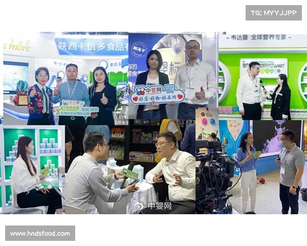 网球赛事最新动态分析 聚焦选手表现与比赛走势深度解读 网球赛事最新动态分析 聚焦选手表现与比赛走势深度解读