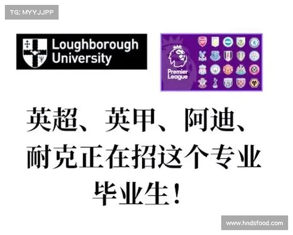 英超品牌价值分析与全球影响力探讨:体育经济新时代的崛起与发展 英超品牌价值分析与全球影响力探讨:体育经济新时代的崛起与发展