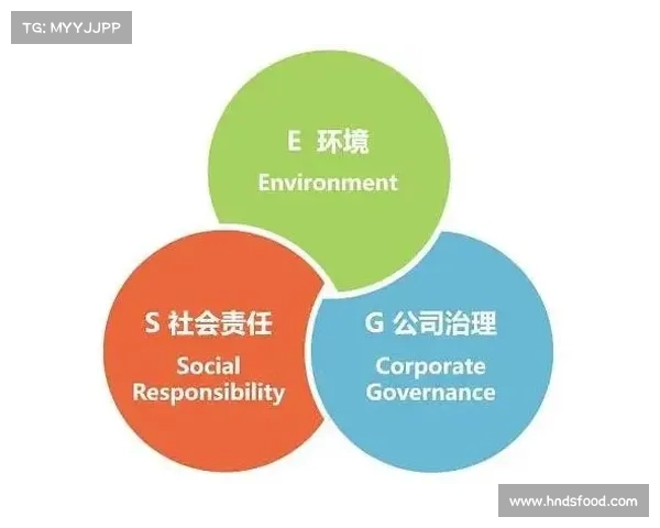 最佳球员引领赛季风云全面解析顶尖选手的成长历程与卓越表现 最佳球员引领赛季风云全面解析顶尖选手的成长历程与卓越表现